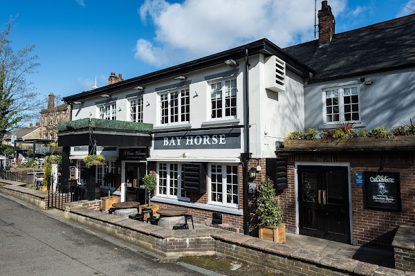 Bay Horse