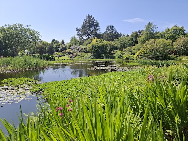 Glenwhan Gardens and Tearoom